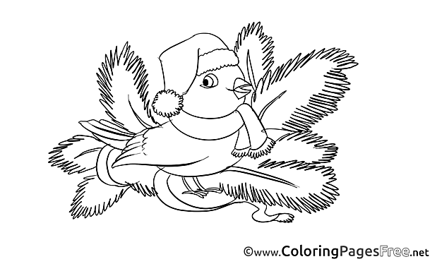 Bird Advent Coloring Pages download