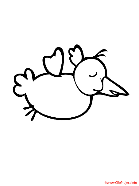 Bird coloring sheet