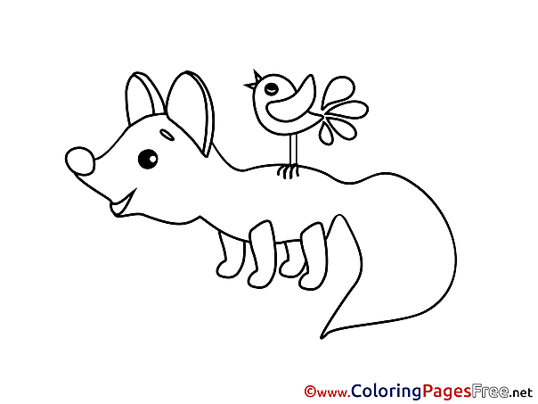 Bird Fox download Colouring Sheet free