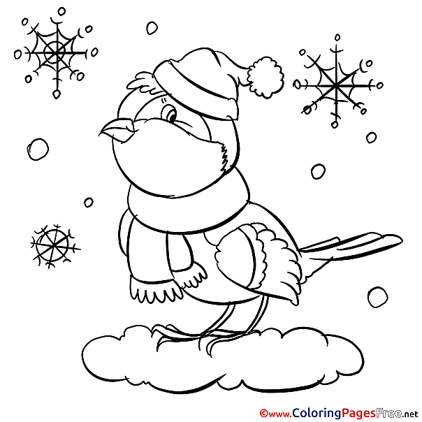 Bullfinch free printable Coloring Sheets