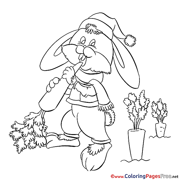 Bunny Coloring Sheets download free