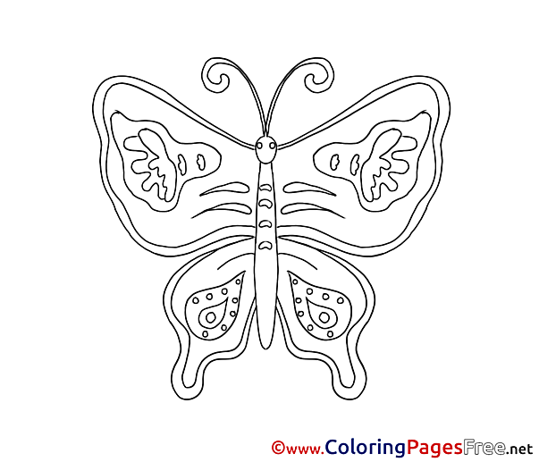 Butterfly for free Coloring Pages download