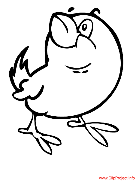 Chicken colouring page for free download