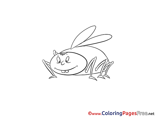 Cockroach free printable Coloring Sheets