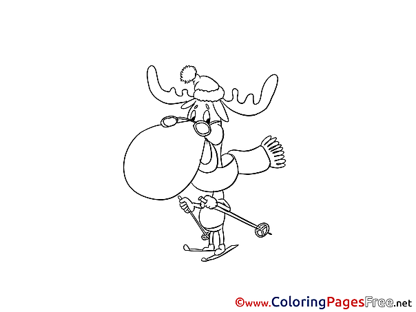 Deer Colouring Sheet download free