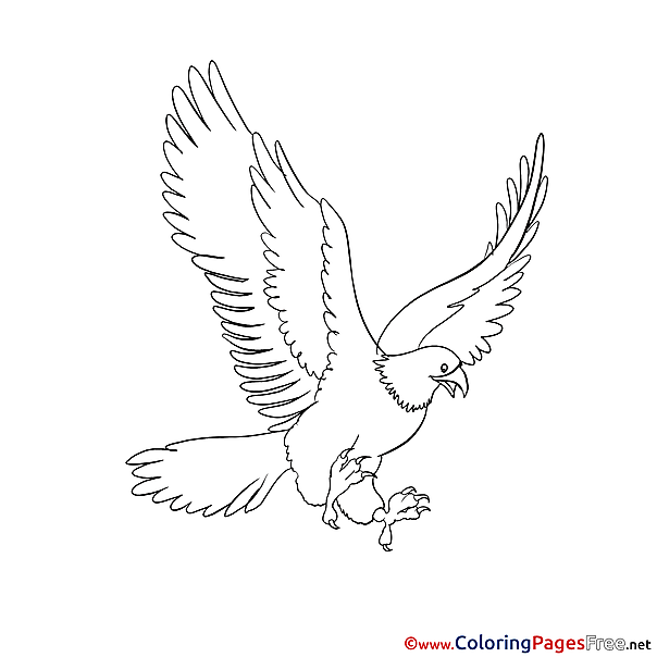 Eagle for Kids printable Colouring Page