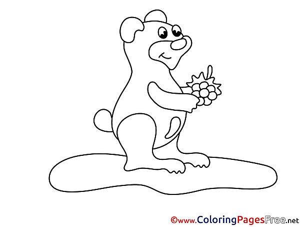 For free Bear Coloring Pages download