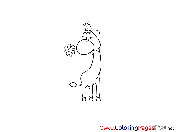 Giraffe Coloring Pages for free