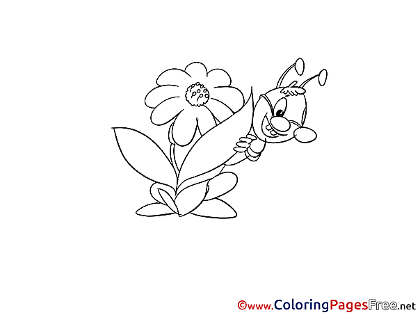 Grasshopper Coloring Sheets download free