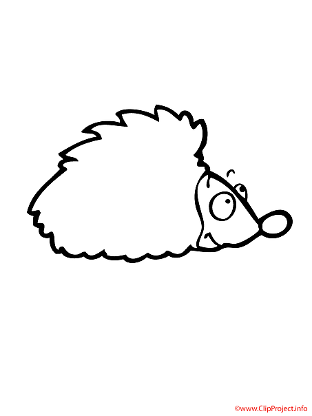 Hedgehog coloring sheet