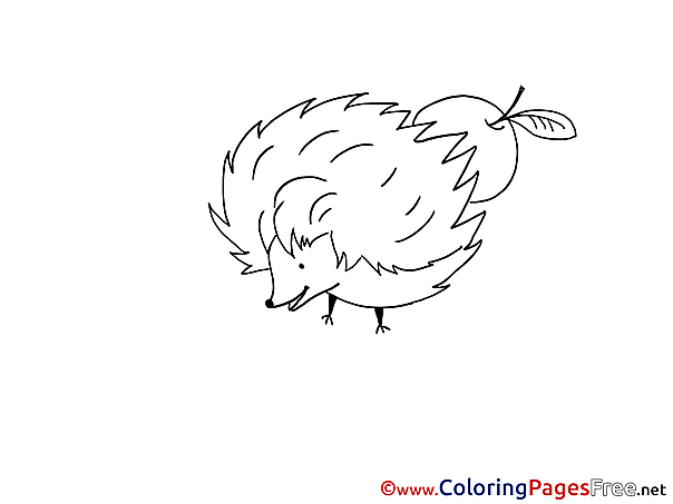 Hedgehog Colouring Page printable free