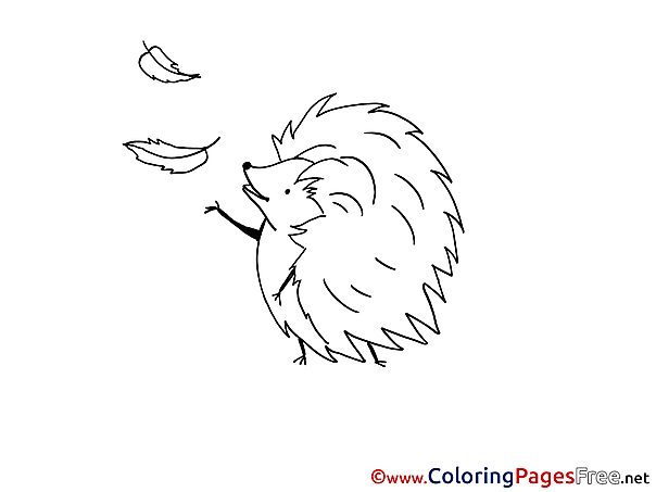 Hedgehog for free Coloring Pages download