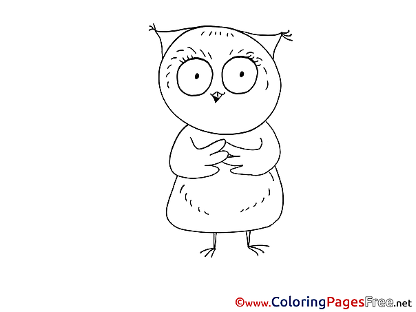 Owl for Kids printable Colouring Page