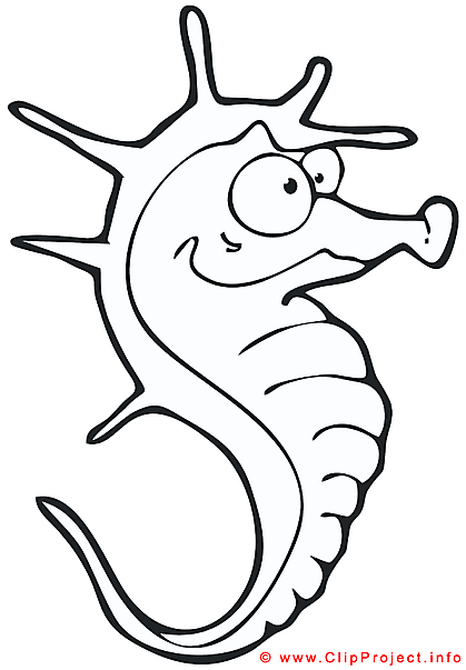 Sea horse coloring page free PNG