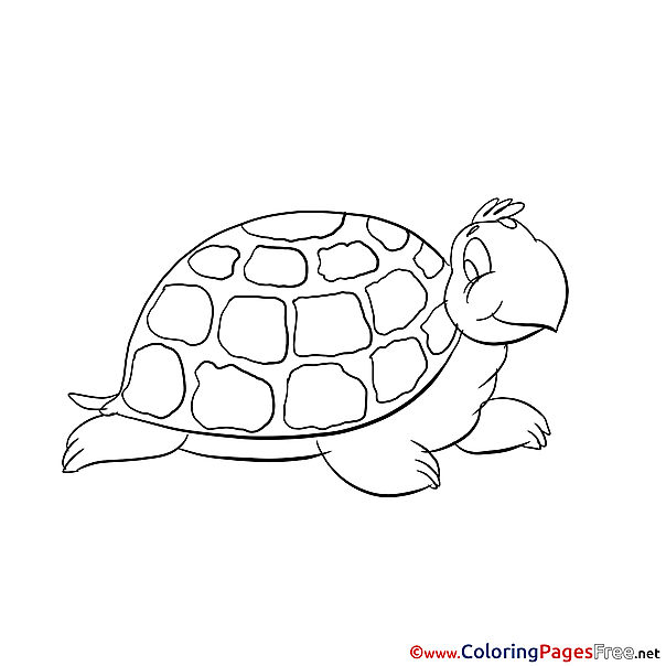 Turtle Coloring Pages for free