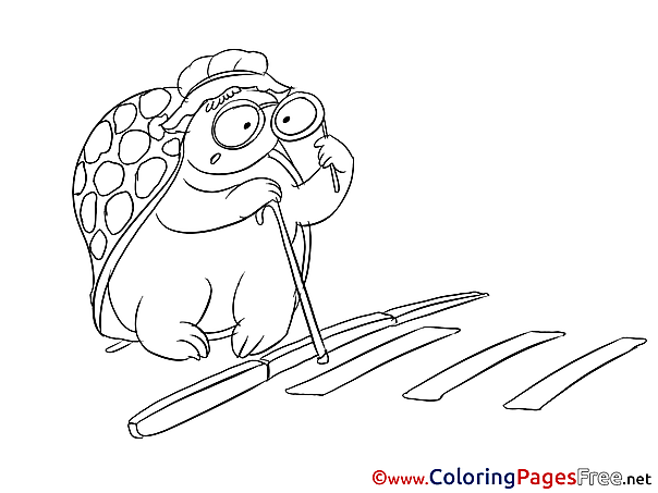 Turtle download printable Coloring Pages