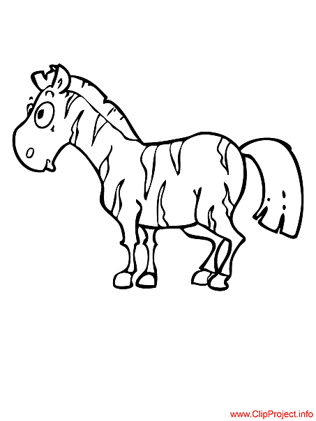 Zebra coloring page free