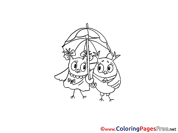 Owl Colouring Sheet download Birthday
