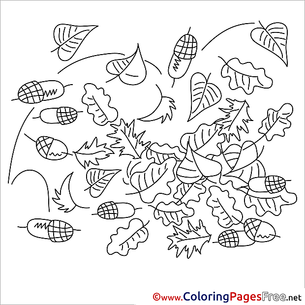 Acorn printable Coloring Pages for free