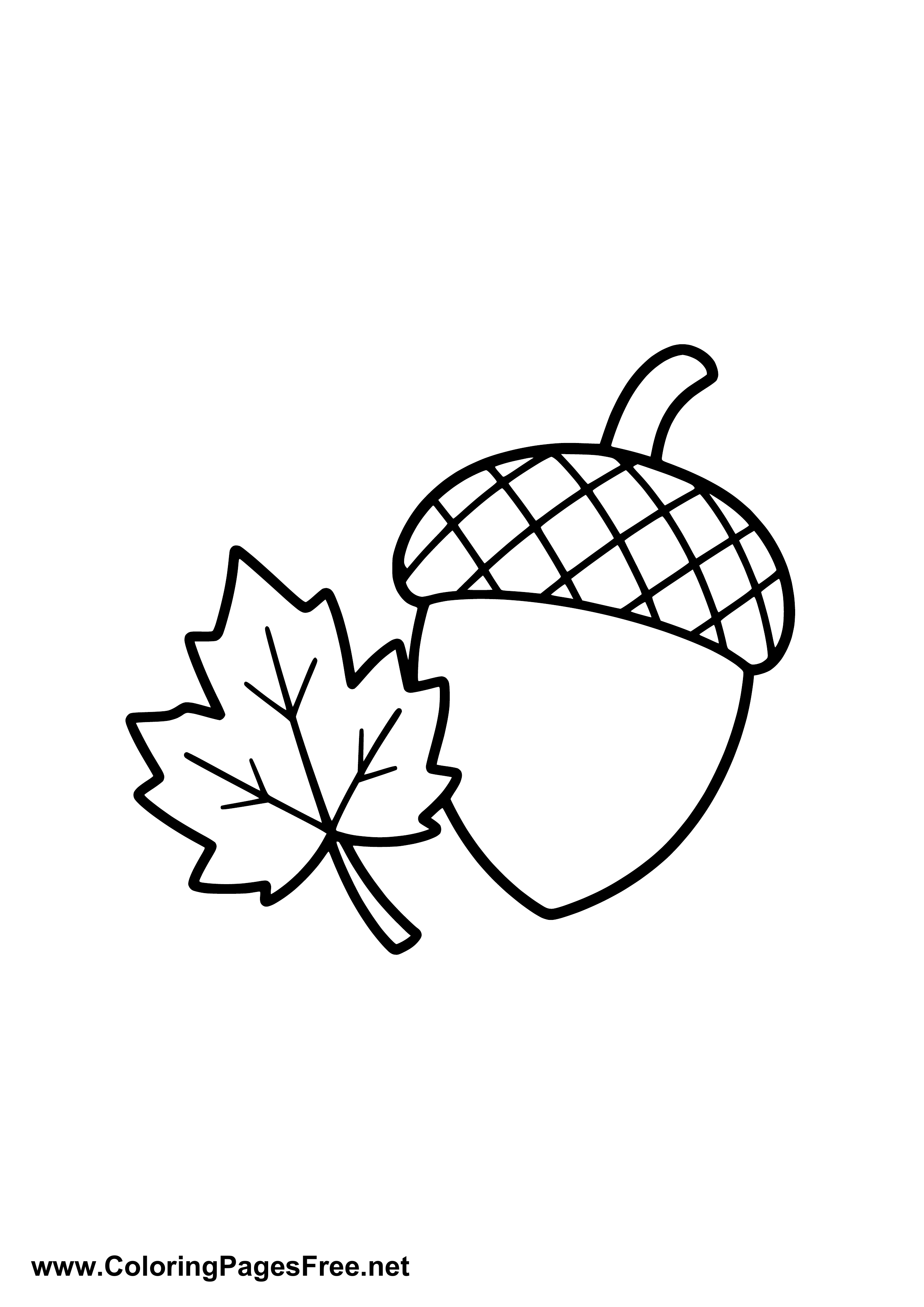 Acorn with Oak Leaves Coloring Page