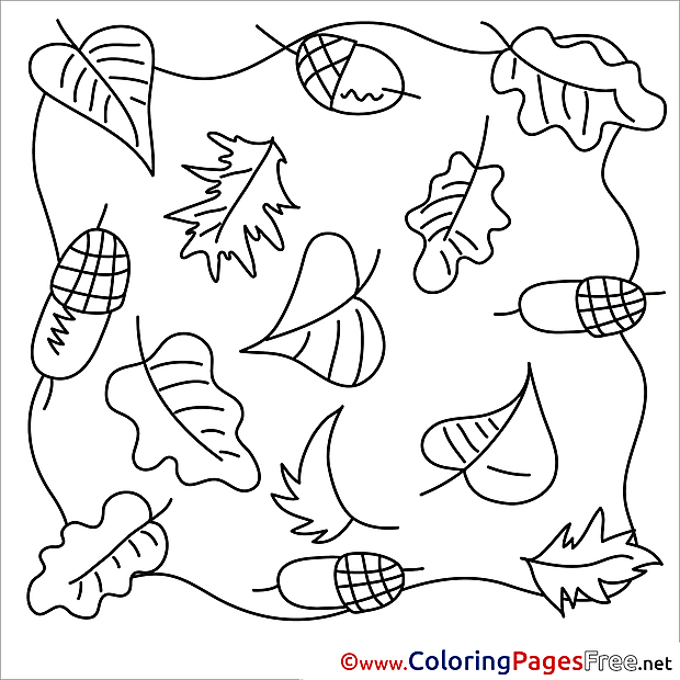 Acorns Autumn download Colouring Sheet free