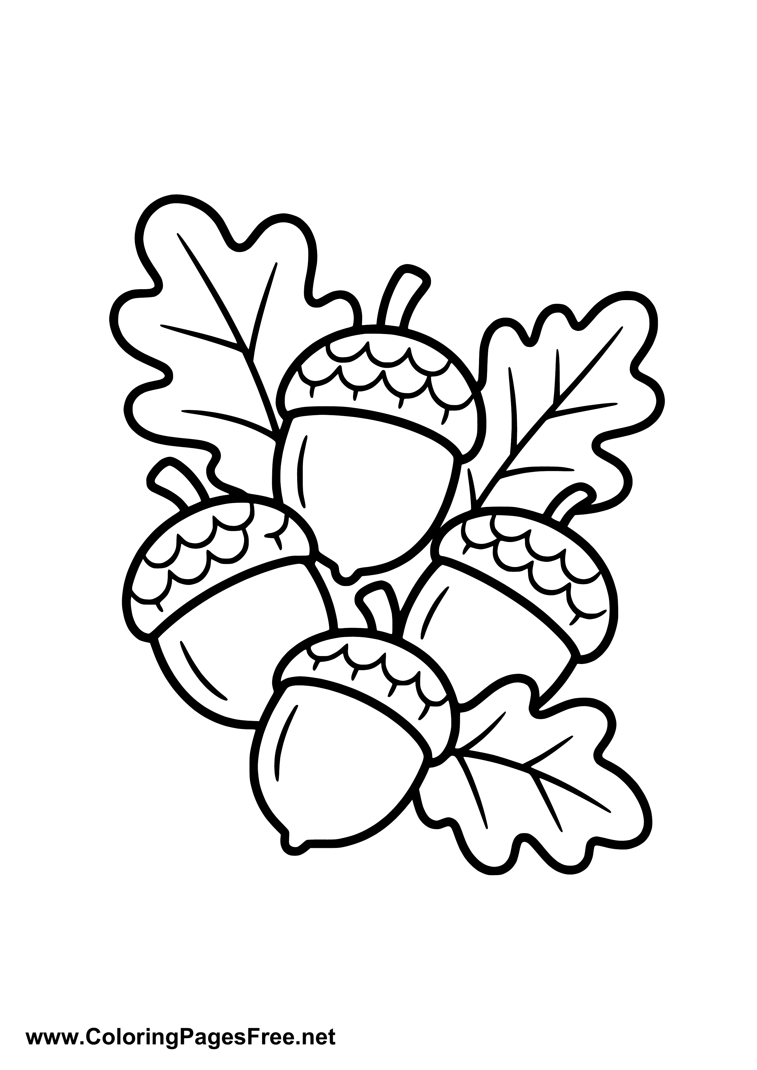 Acorns with Leaves Autumn Coloring Page