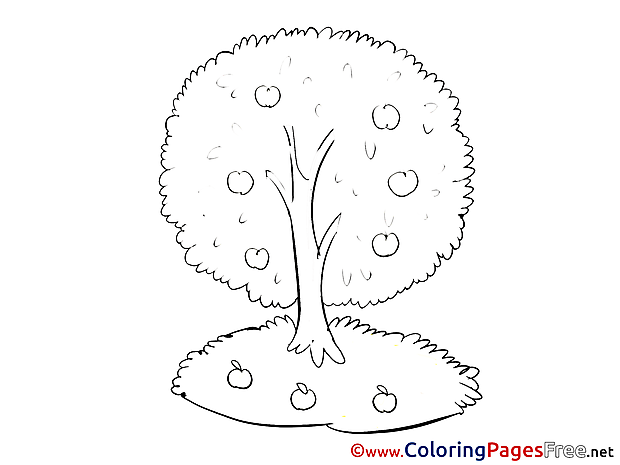 Apple Tree Colouring Sheet download free