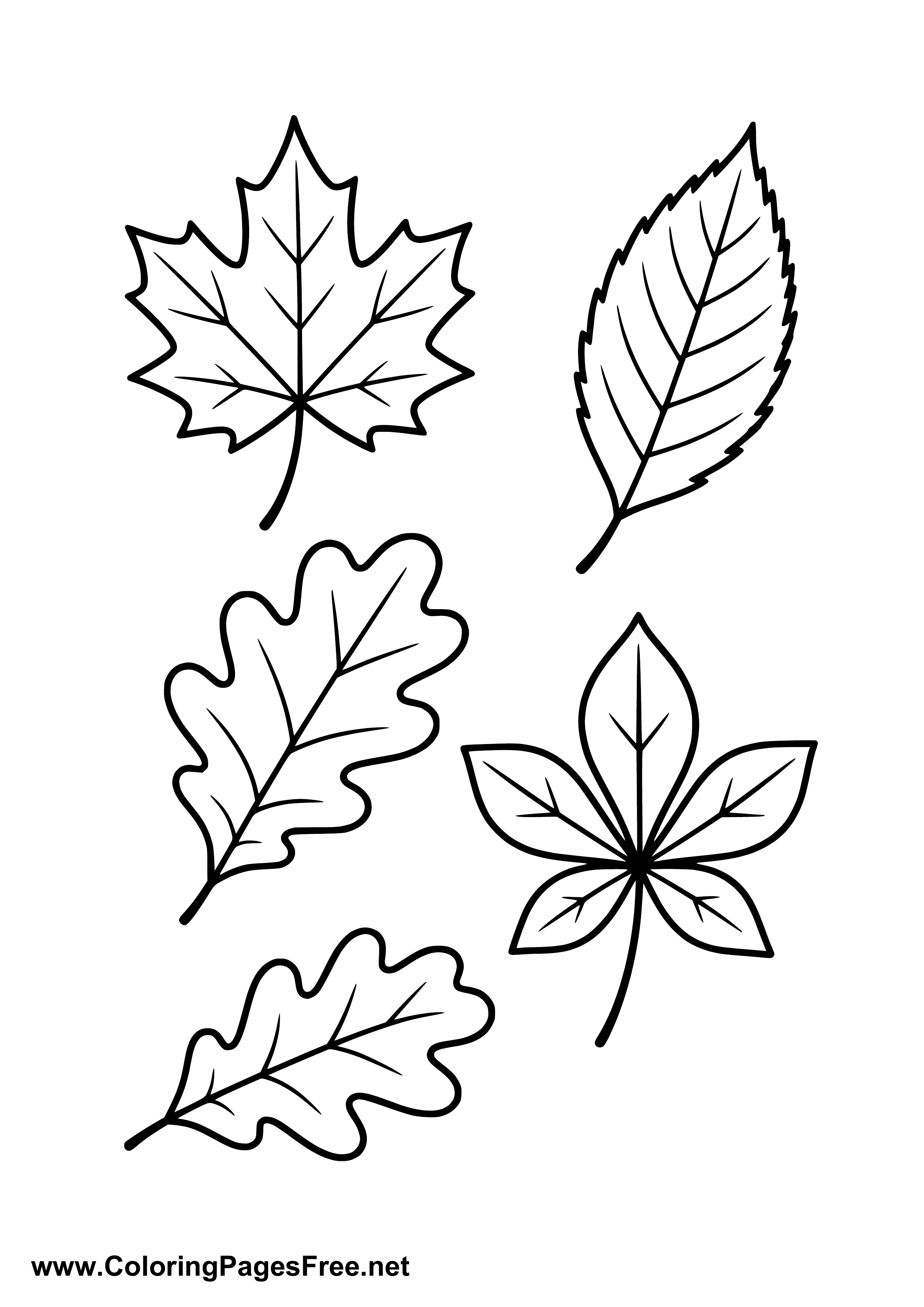 Autumn Foliage Coloring Page for Kids