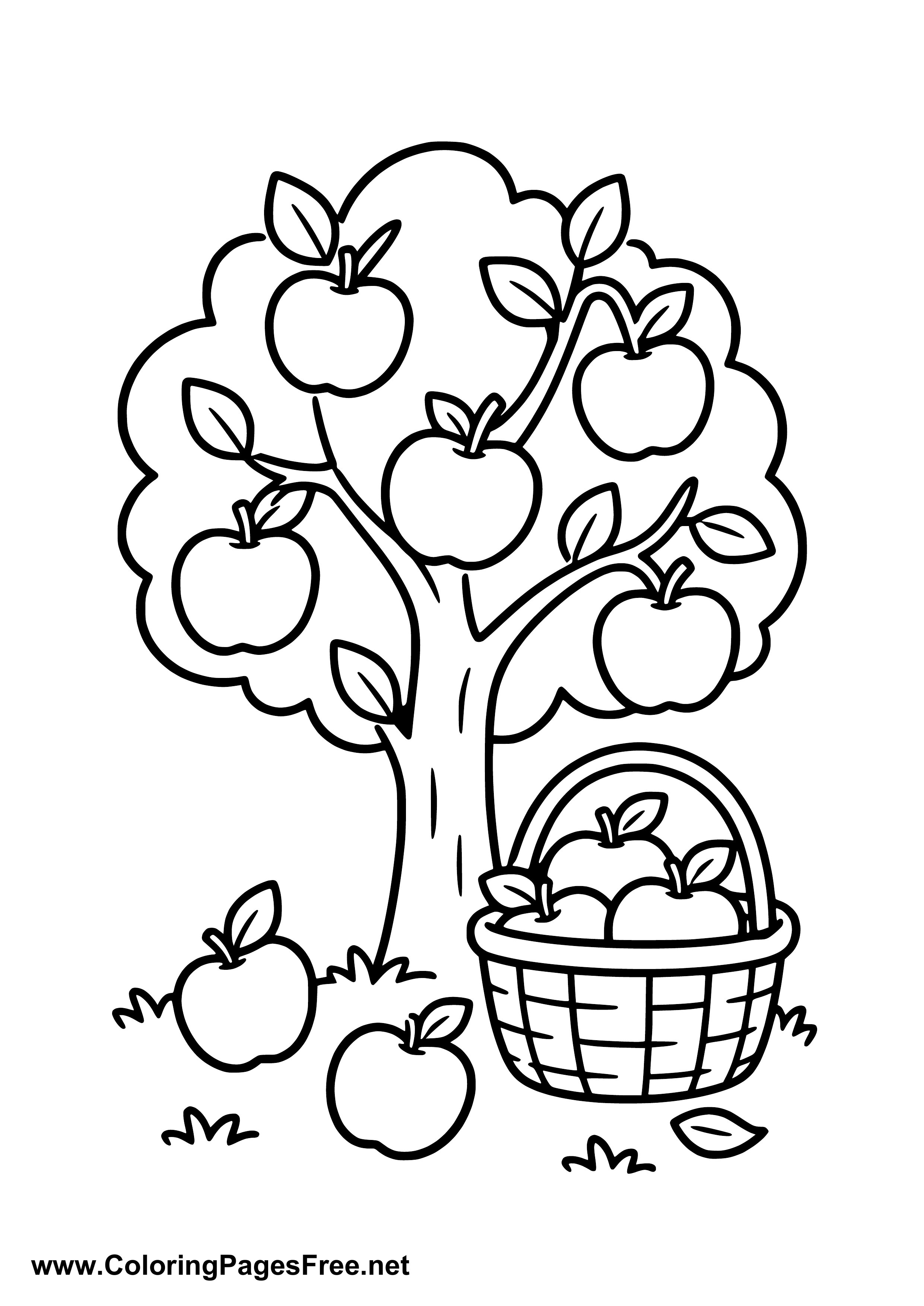 Autumn Harvest with Apples Coloring Page