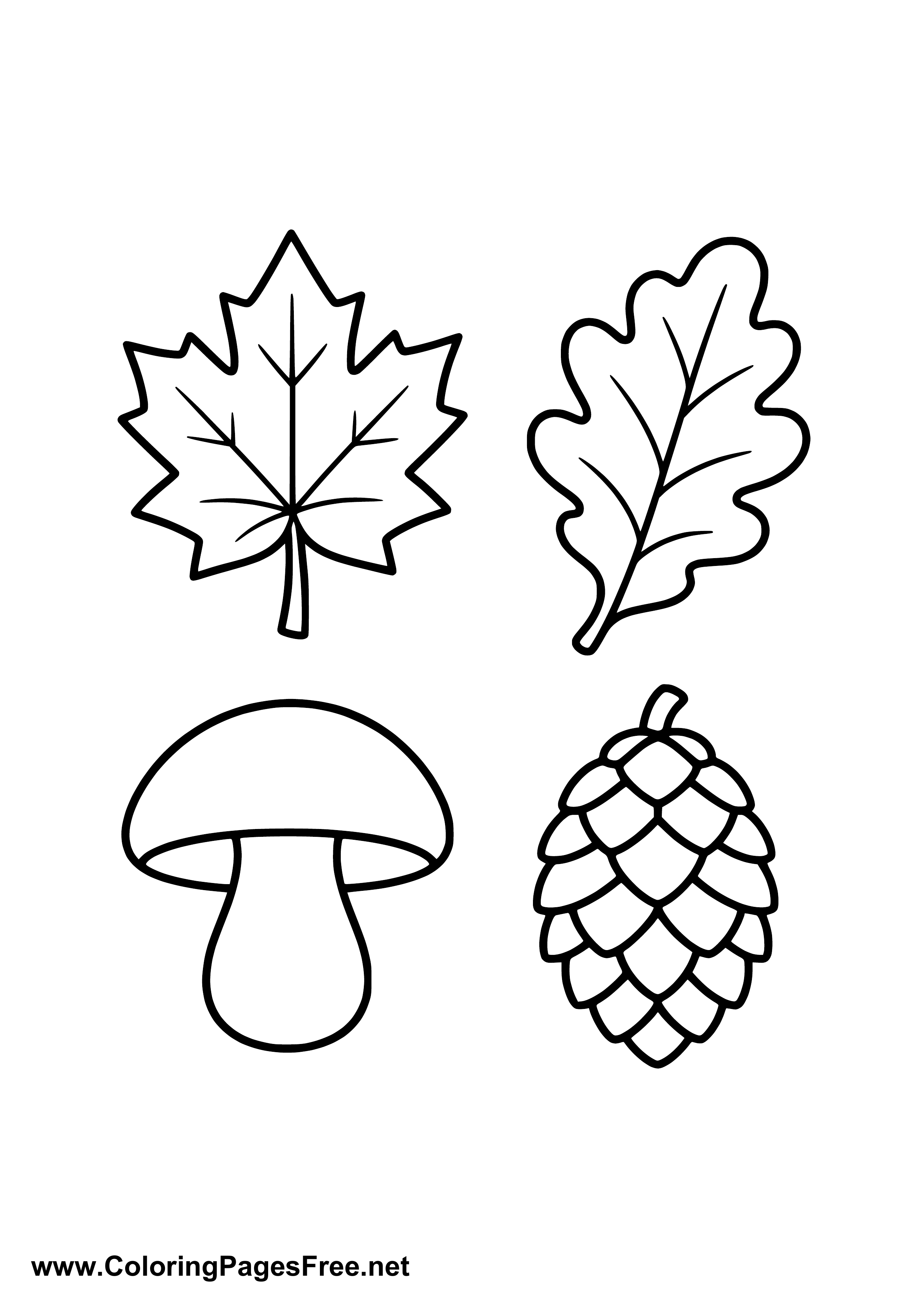 Autumn Leaf Mushroom Pumpkin Acorn Coloring Page
