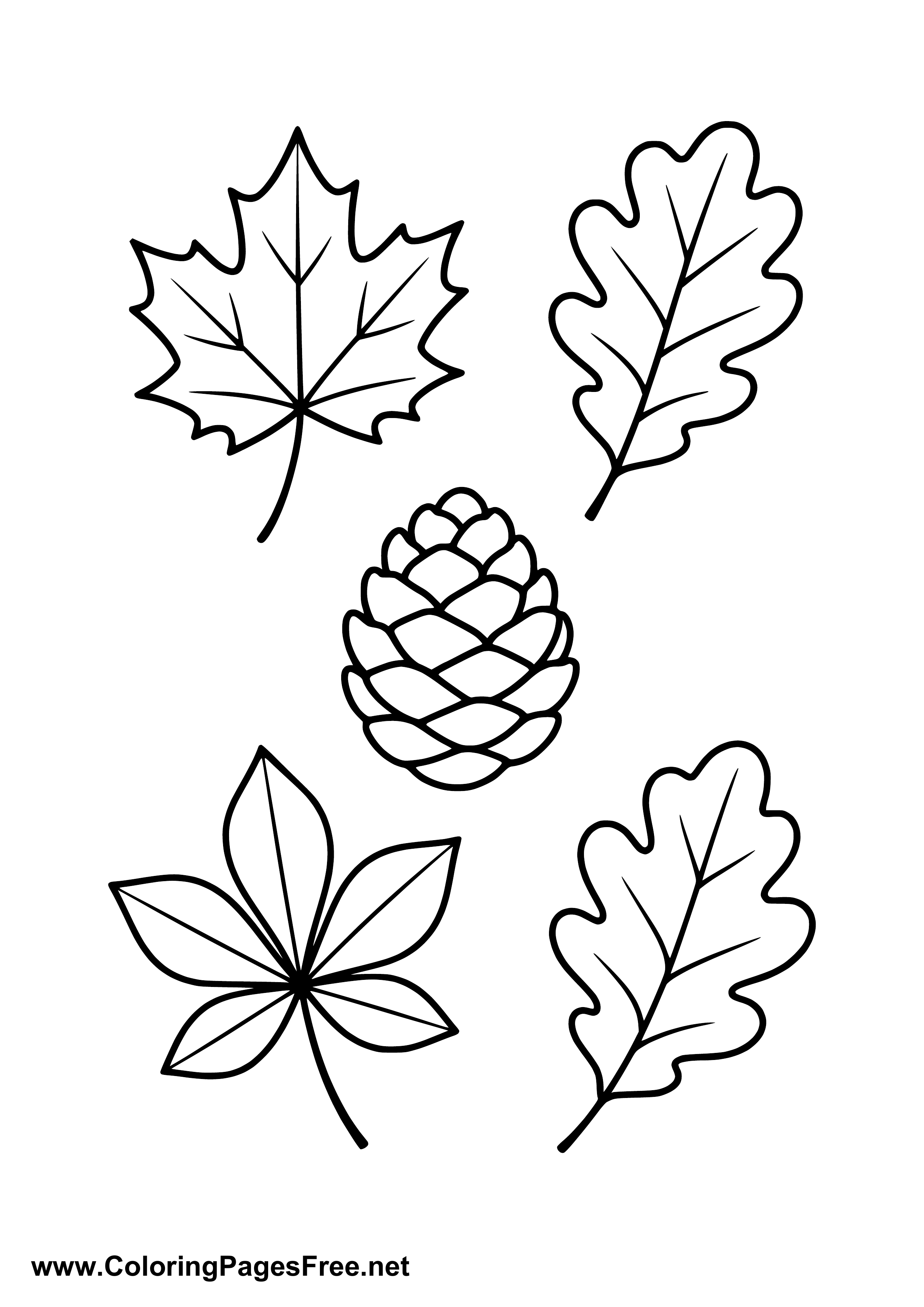 Autumn Leaves and Acorn Coloring Page