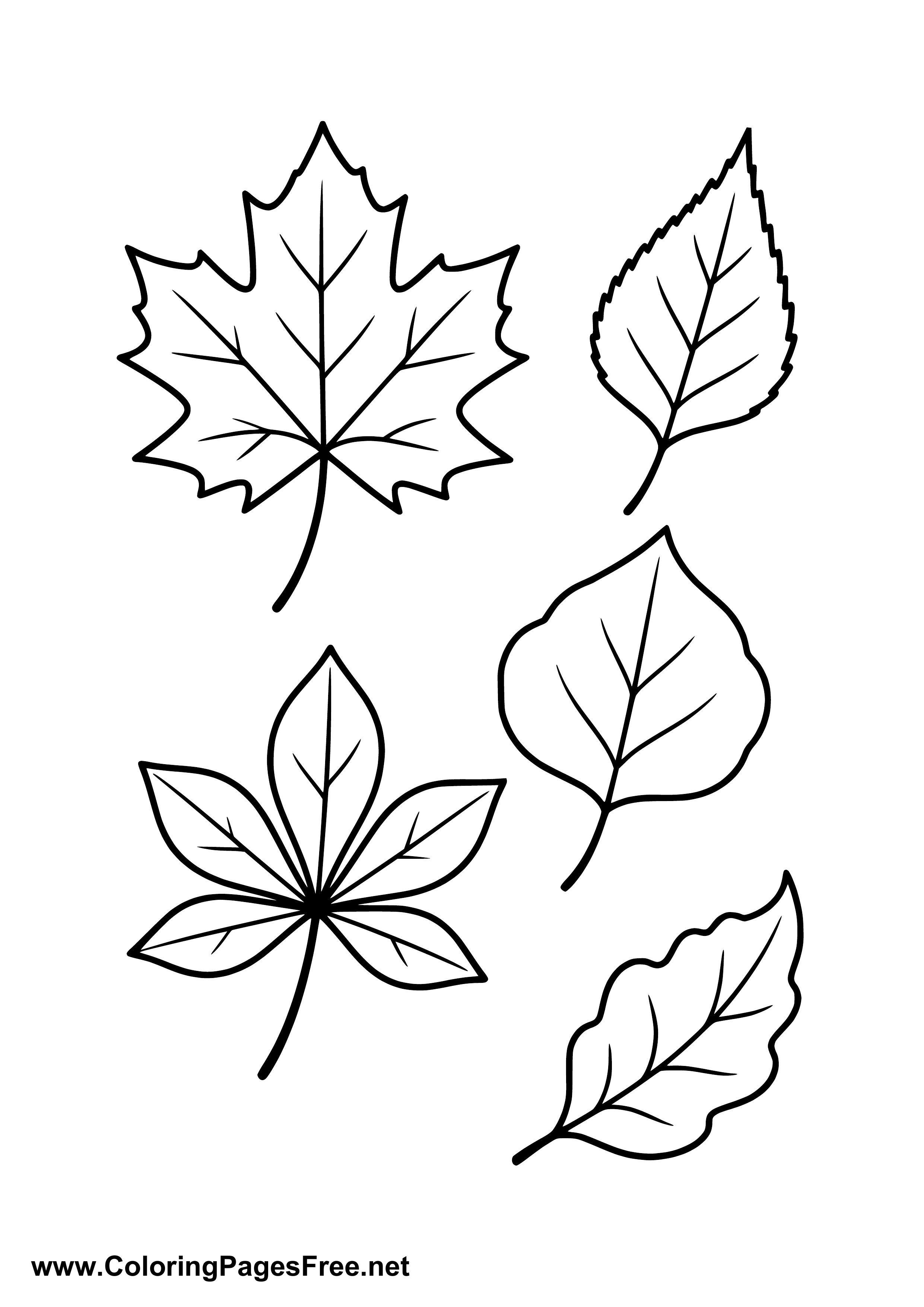 Autumn Leaves Collection Coloring Page
