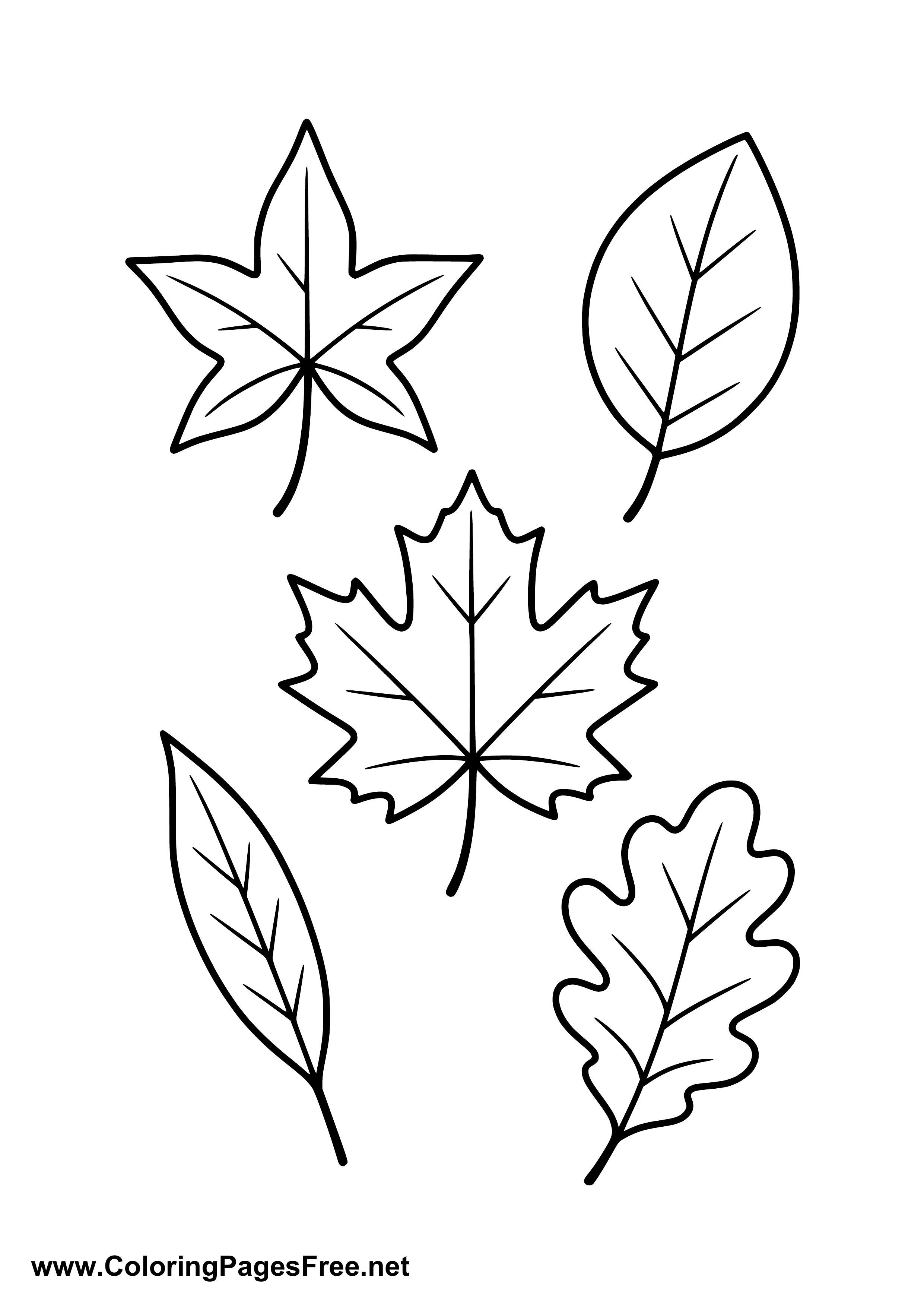 Autumn Leaves Coloring Page to Print