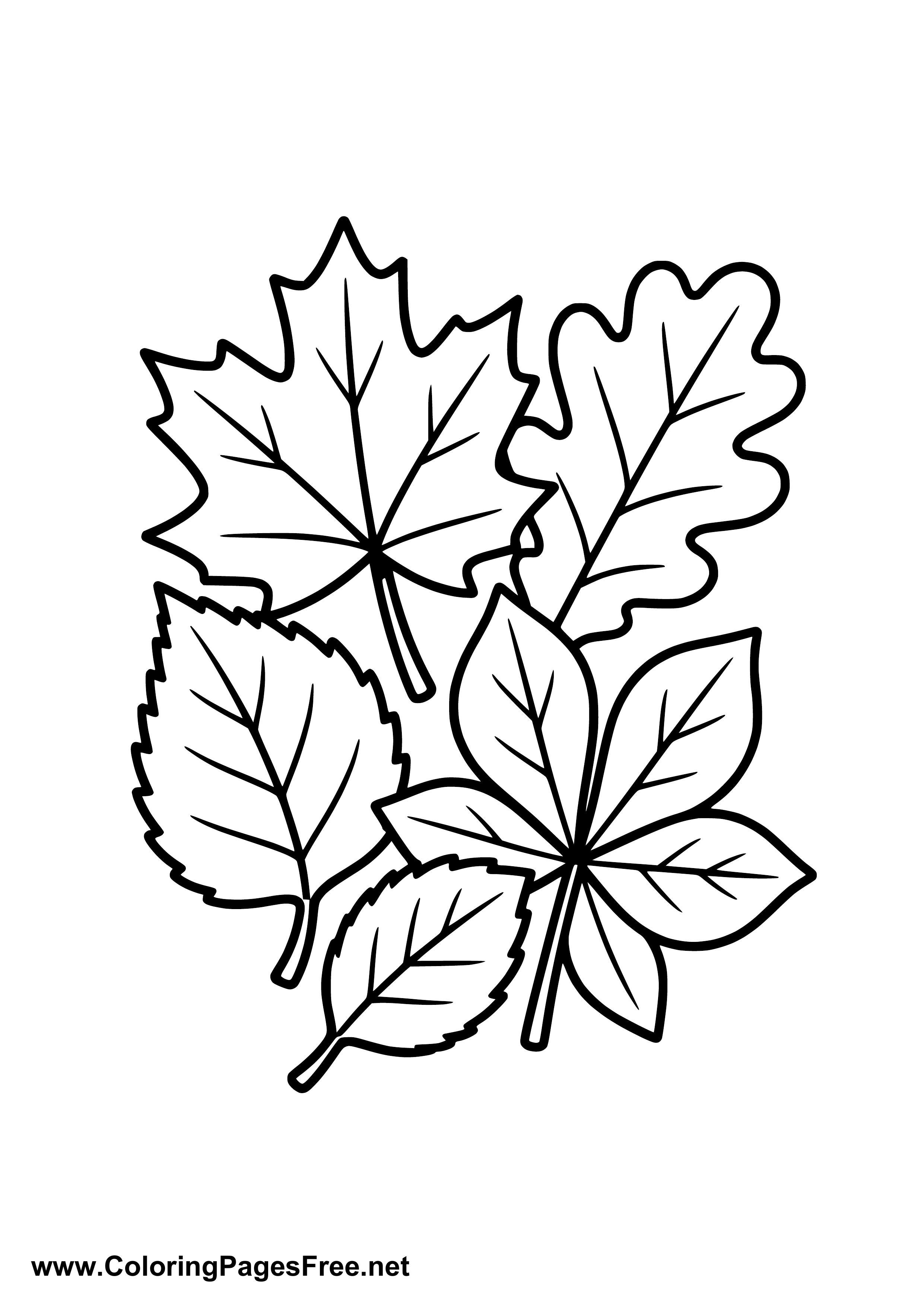 Autumn Leaves with Acorns Coloring Page