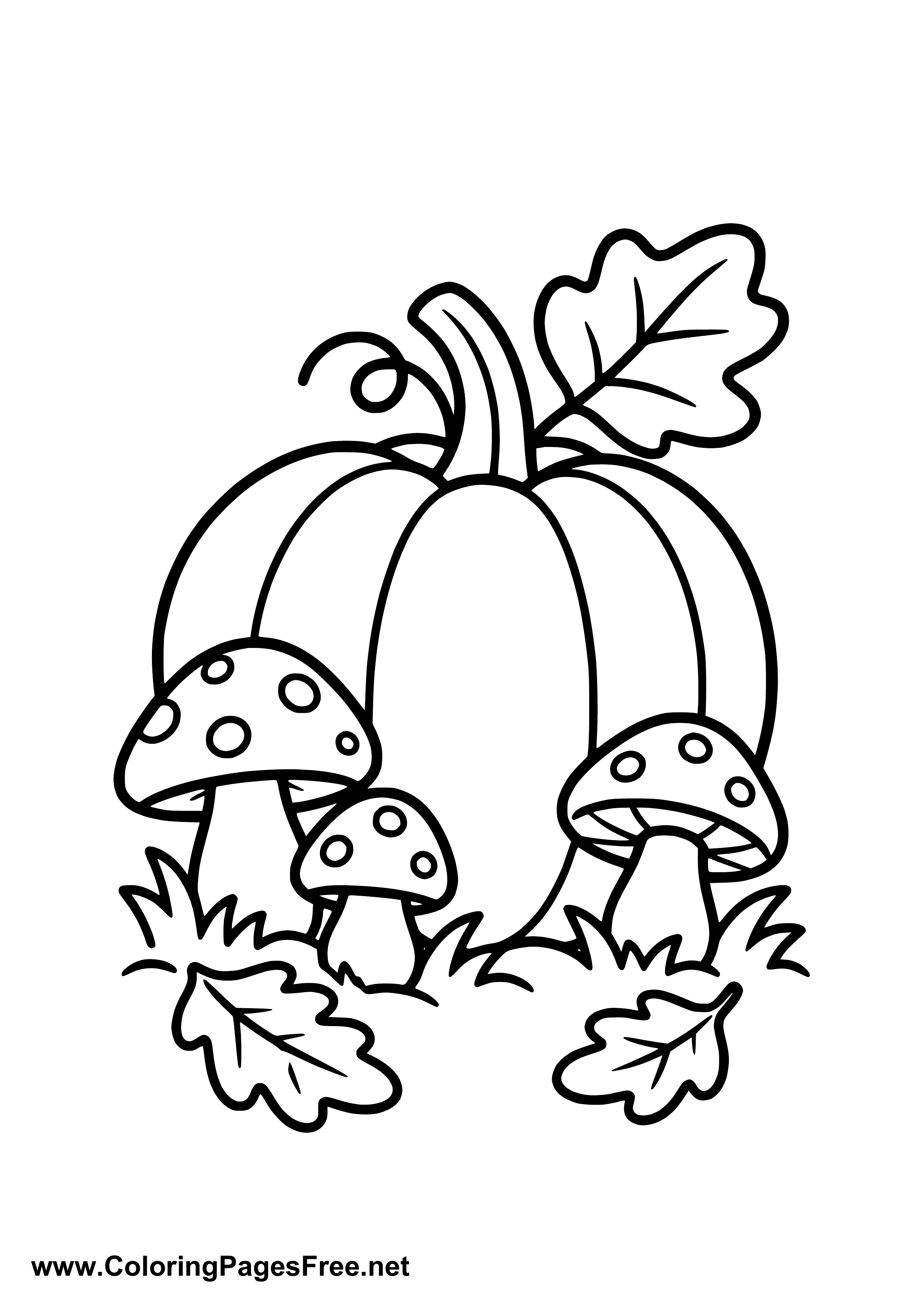 Autumn Pumpkin with Leaves Coloring Page