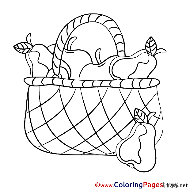 Basket Fruits Coloring Sheets download free