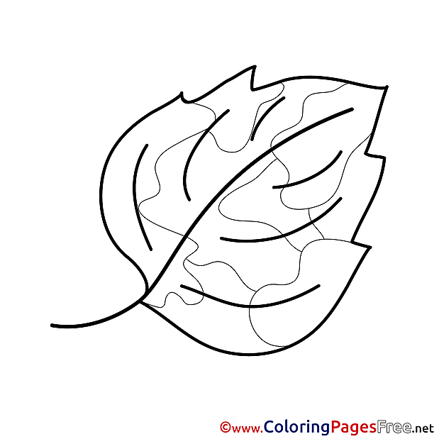 Beautiful Leaf Kids download Coloring Pages