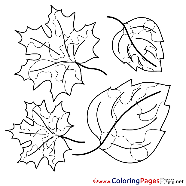 Beautiful Leaves Coloring Sheets download free