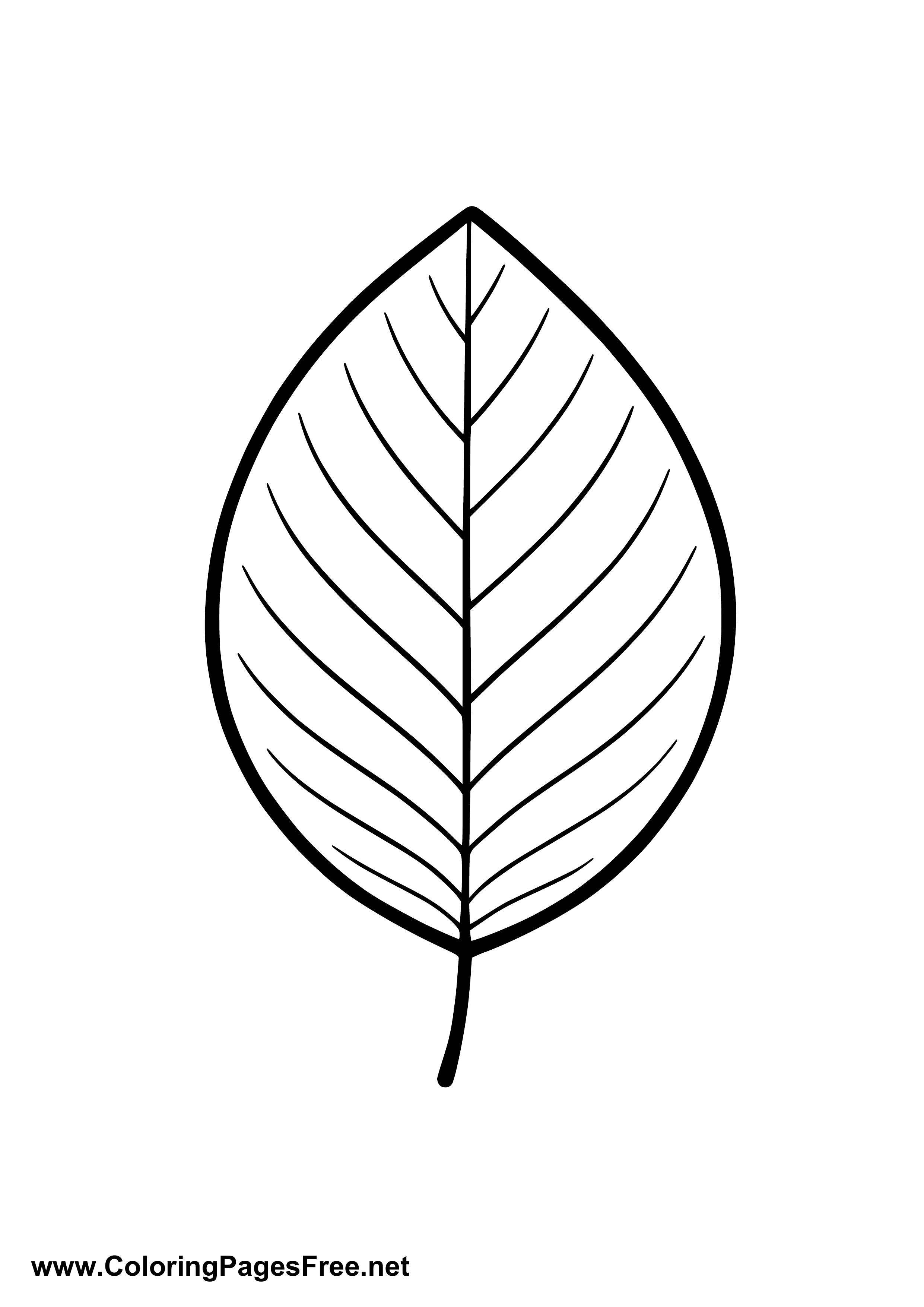 Birch Leaf Autumn Coloring Page