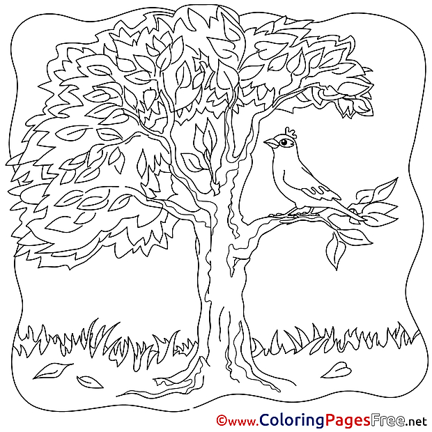 Bird Tree printable Coloring Sheets download