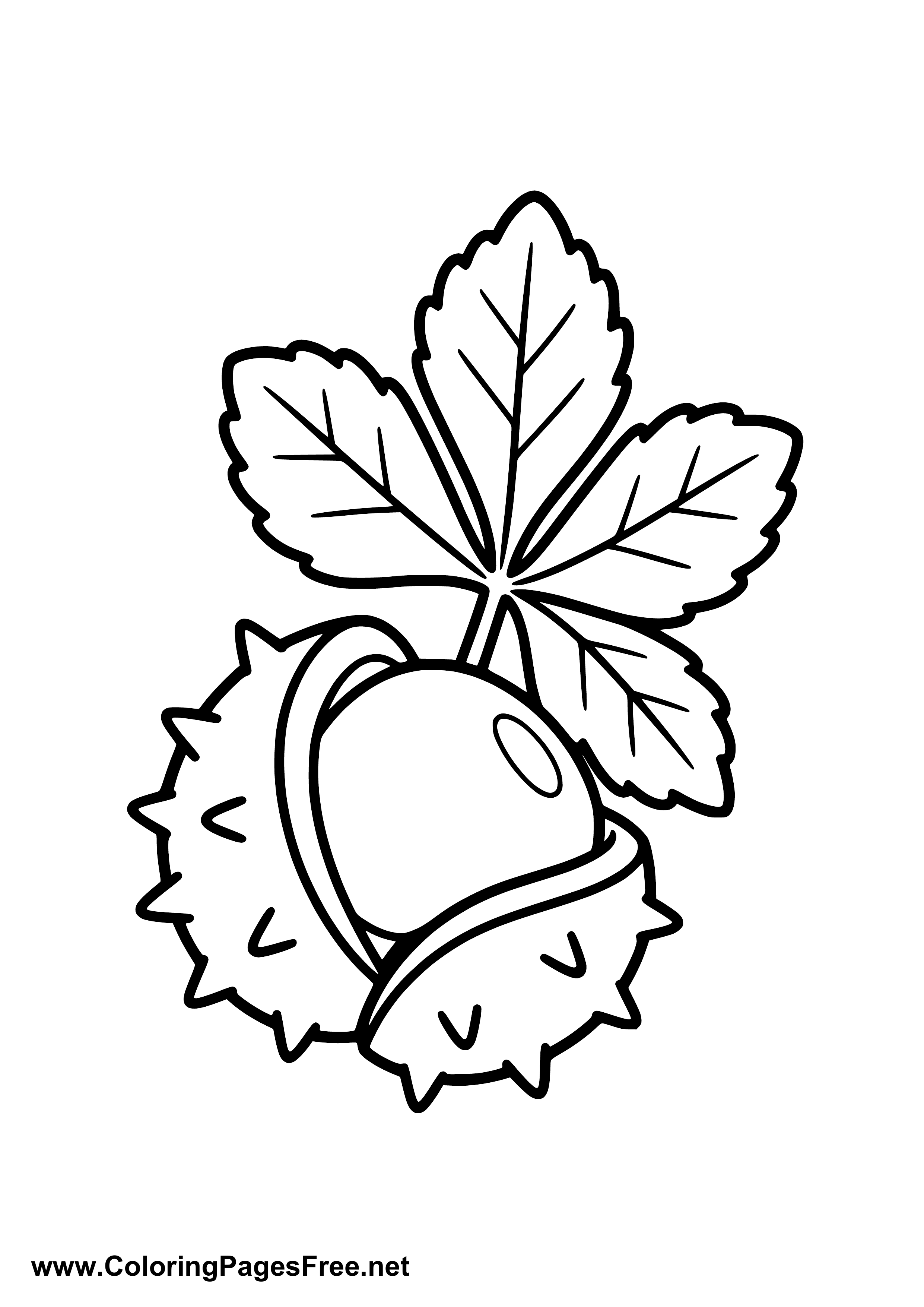Chestnuts with Autumn Leaves Coloring Page