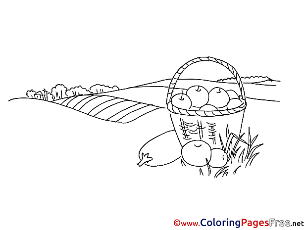 Field download Colouring Sheet free