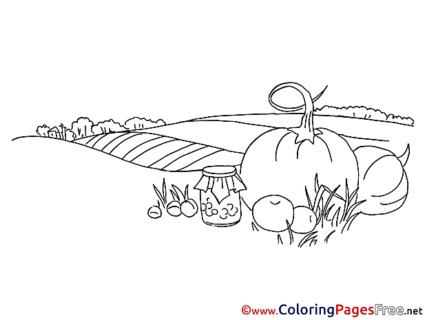 Field free printable Coloring Sheets