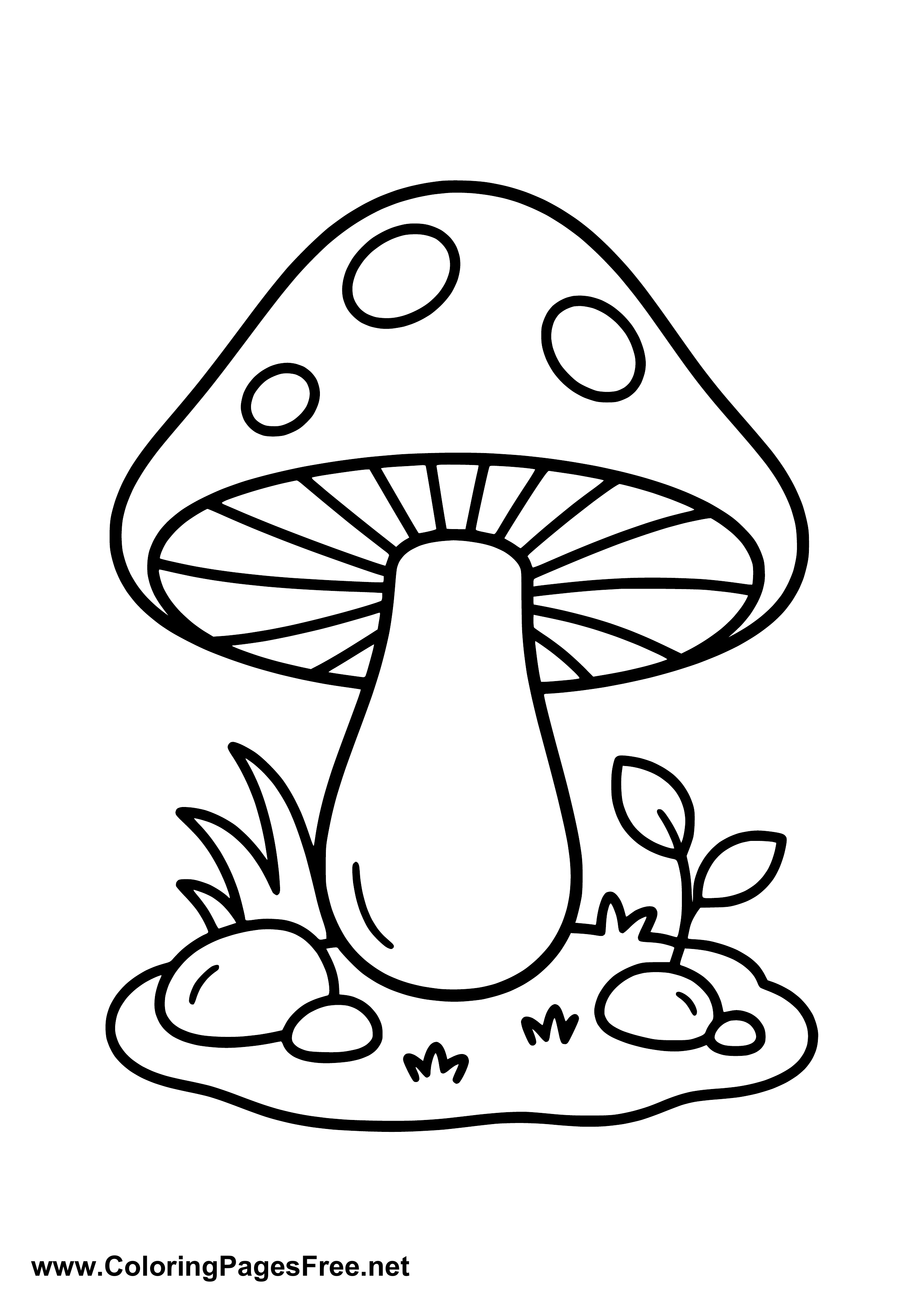 Fly Agaric Coloring Page PDF Download