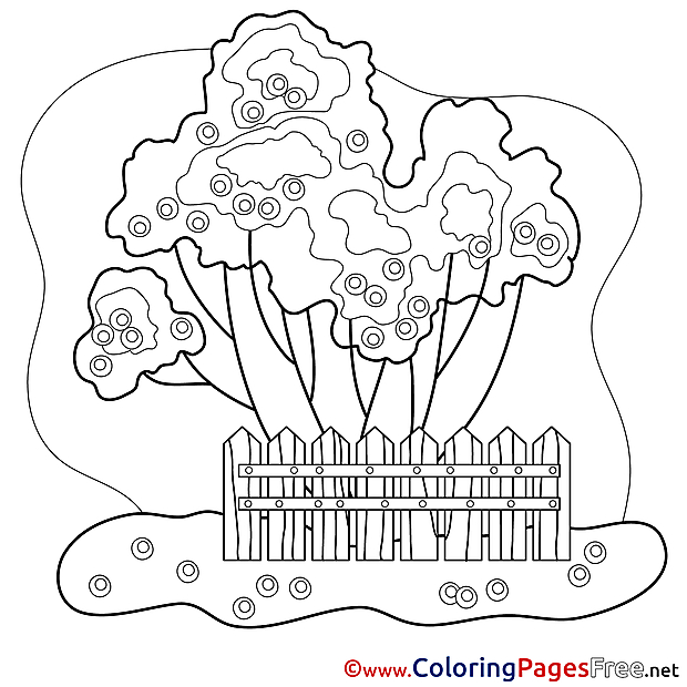 Garden for free Coloring Pages download