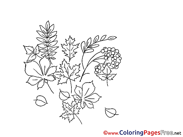 Herbs Children Coloring Pages free