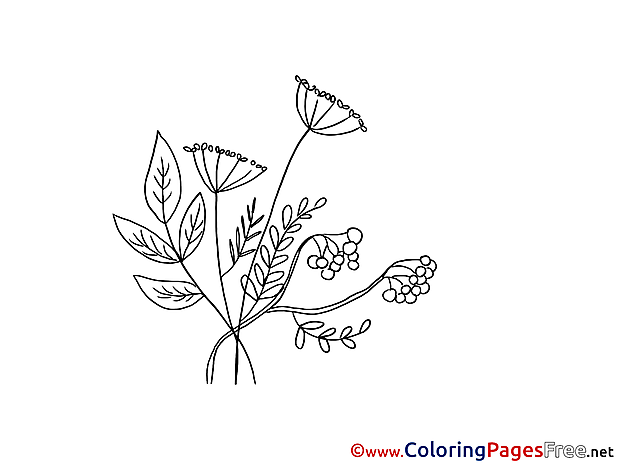 Herbs Kids download Coloring Pages