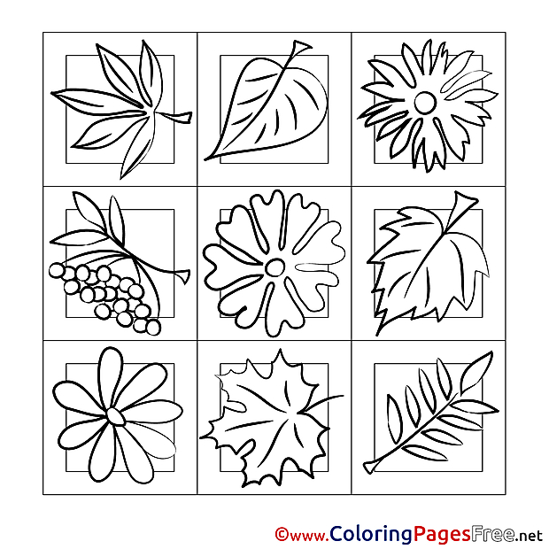 Image Leaves download Colouring Sheet free