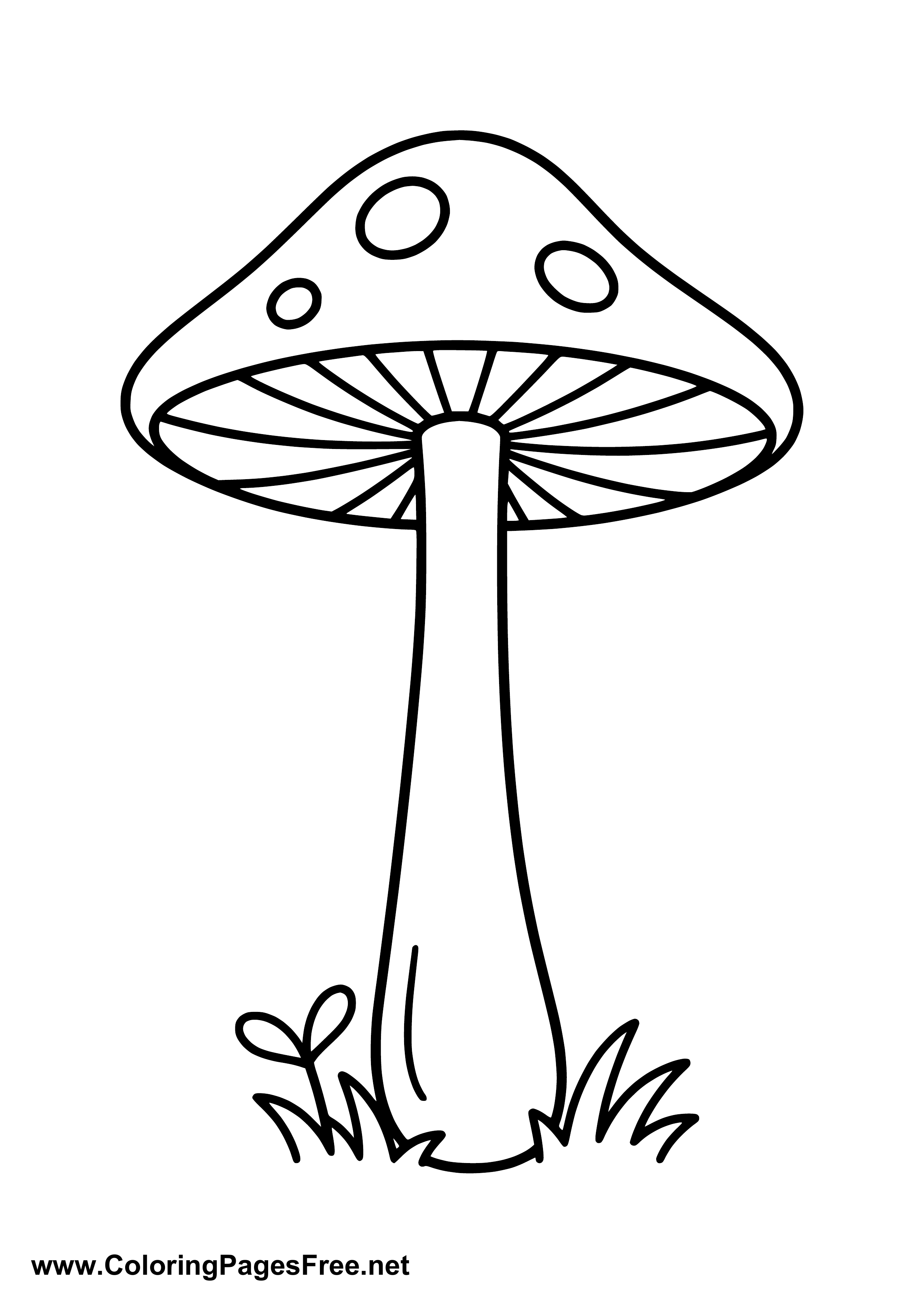 Large Mushroom Coloring Page for Kids