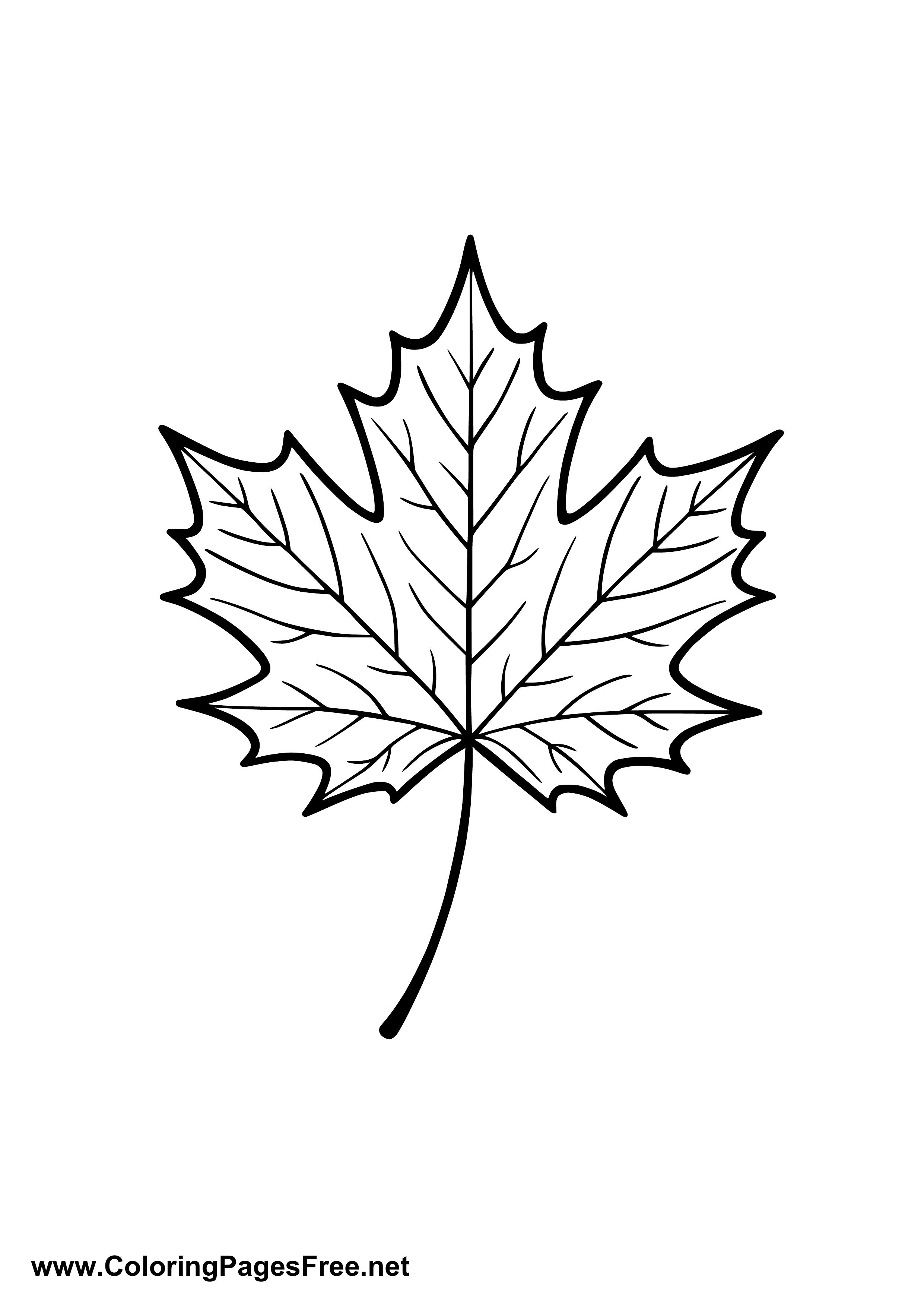 Maple Leaf Coloring Page for Kids